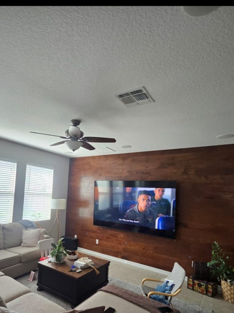Wall-mounted TV with hidden cables